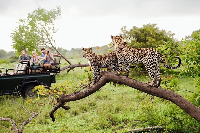 Yala: Sri Lanka's Wild Kingdom of Leopards and Landscapes