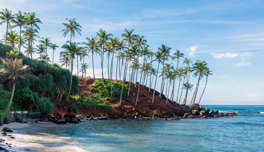 Mirissa: The Soul of Sri Lanka’s Southern Coast